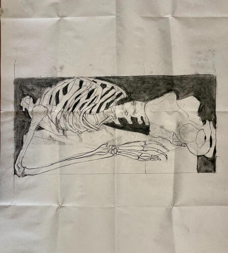 Rib Study -- From Life